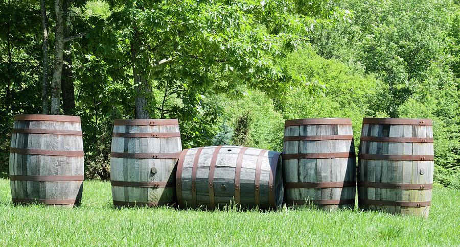 Wine Barrels Photograph by Caroline Stella
