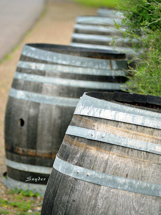 Wine Barrels Foxen Winery Photograph by Barbara Snyder