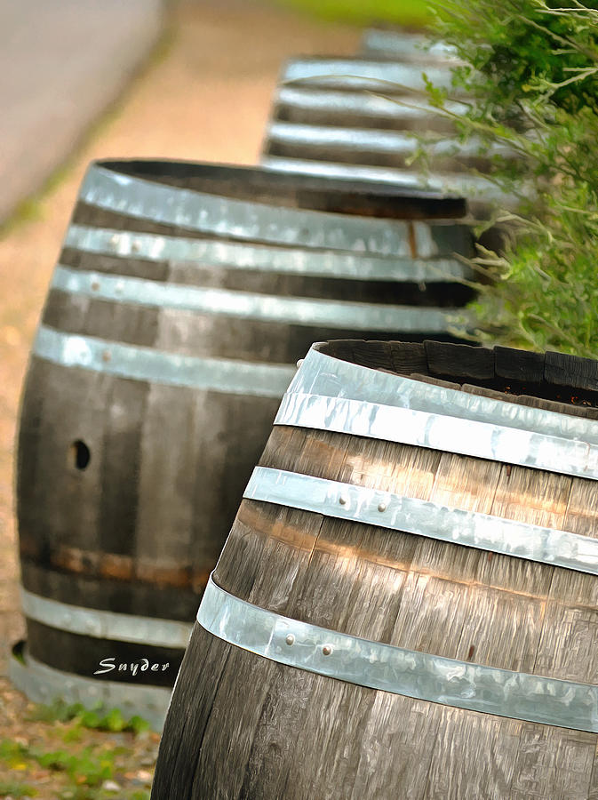 Wine Barrels Foxen Winery Painting Photograph by Barbara Snyder