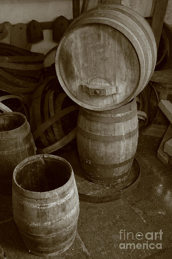 Wine barrels Photograph by Gaspar Avila