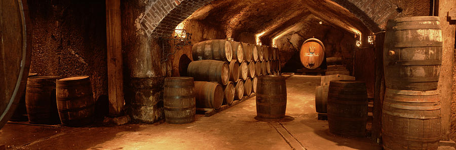 Wine Photograph - Wine Barrels In A Cellar, Buena Vista by Panoramic Images