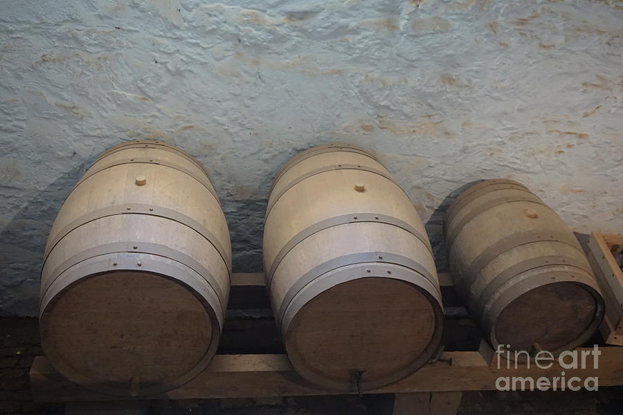 Wine Barrels Photograph by Jimmy Clark