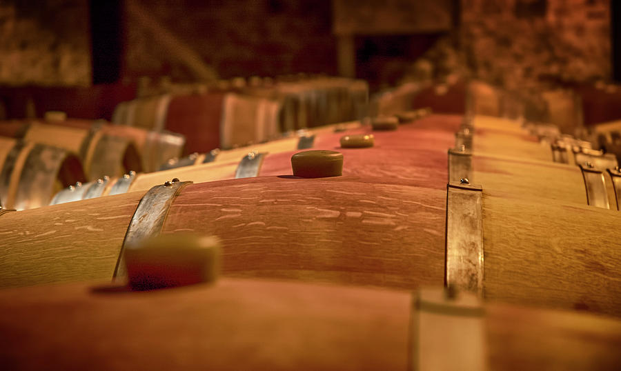 Wine Barrels Photograph by Mick Burkey