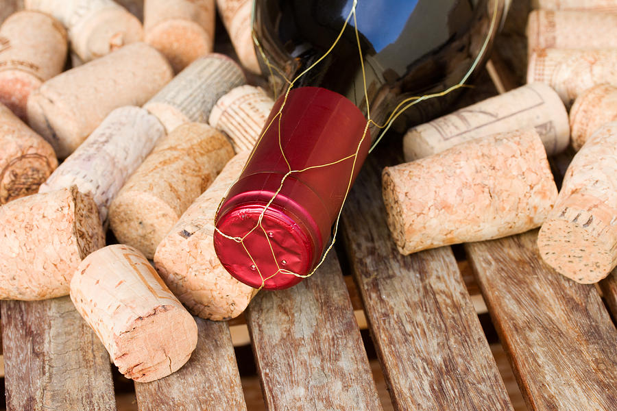 Wine Bottle and Corks Photograph by Anastasy Yarmolovich