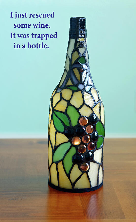 Wine Bottle Photograph by Sally Weigand
