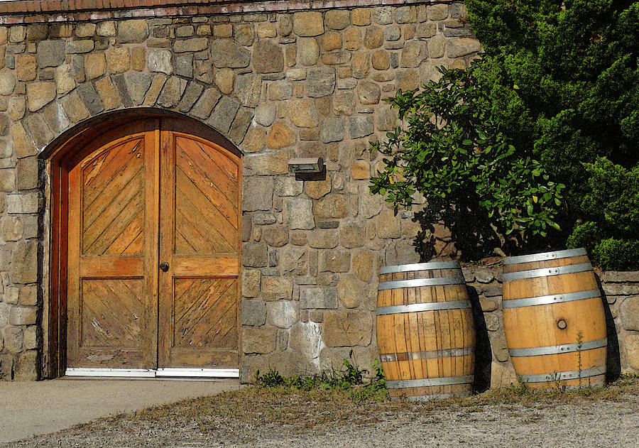 Wine Cellar Doors and Barrels Photograph by Margie Avellino