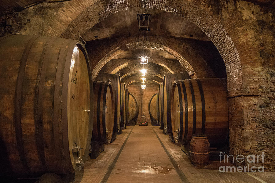 Wine Cellar Photograph by Jennifer Ludlum