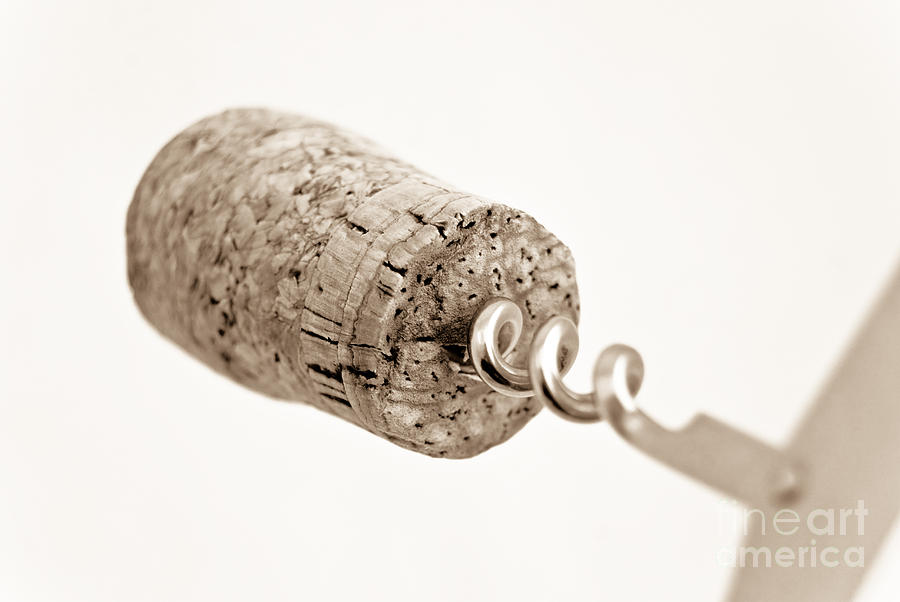 Wine cork Photograph by Yurix Sardinelly