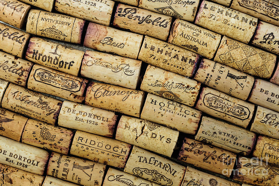 Wine Corks 1 Photograph by Werner Padarin