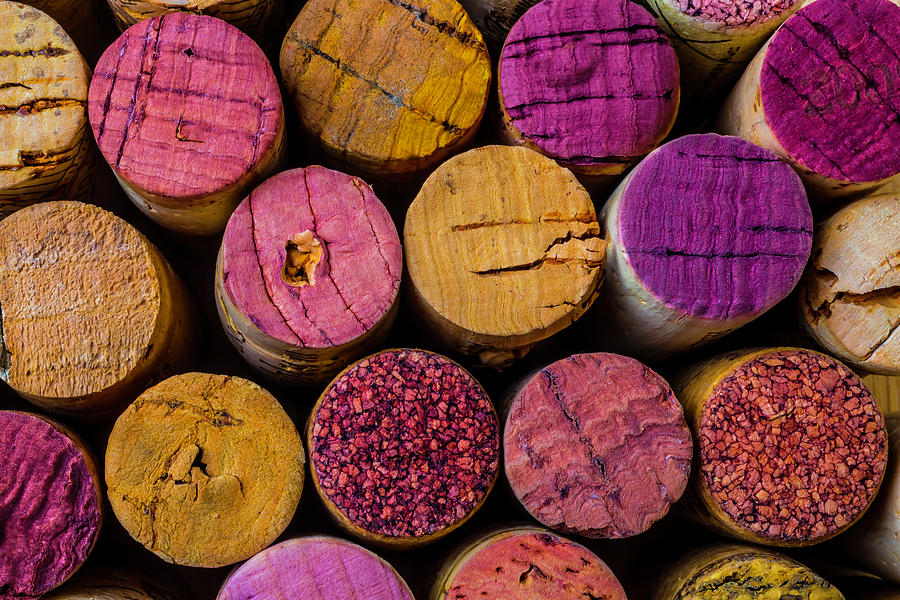 Wine Corks Close Up Photograph by Garry Gay