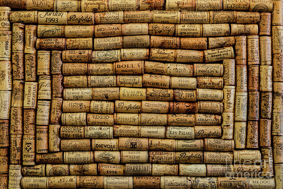 Wine Cork Board Photograph by M G Whittingham