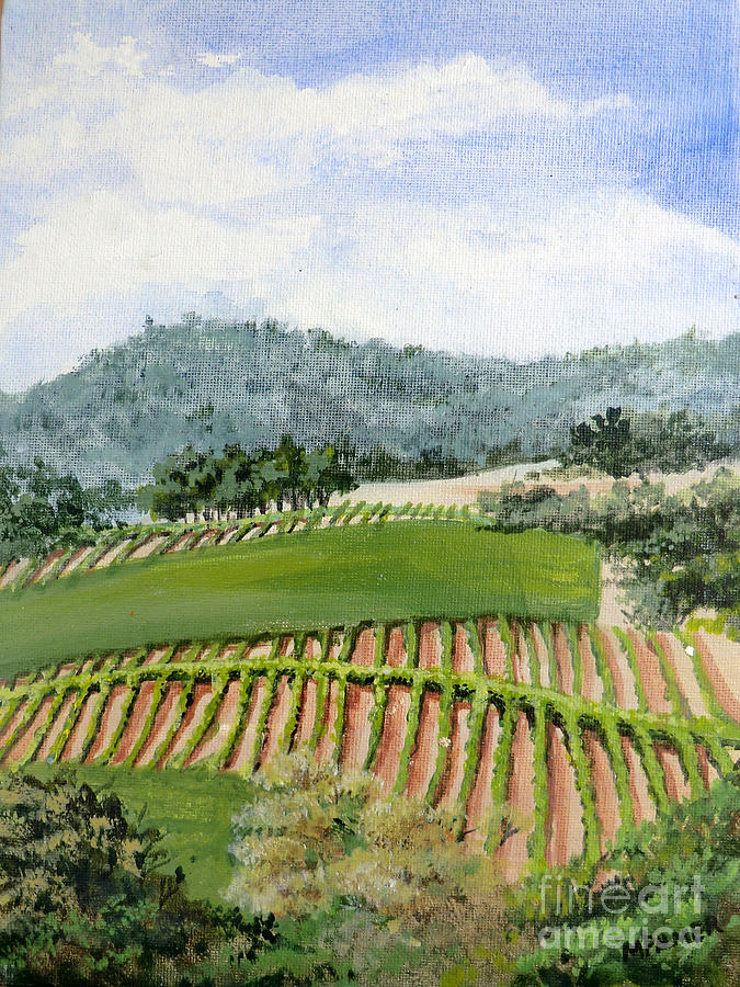 Wine Country by Mary Palmer Wine Country by Mary Palmer