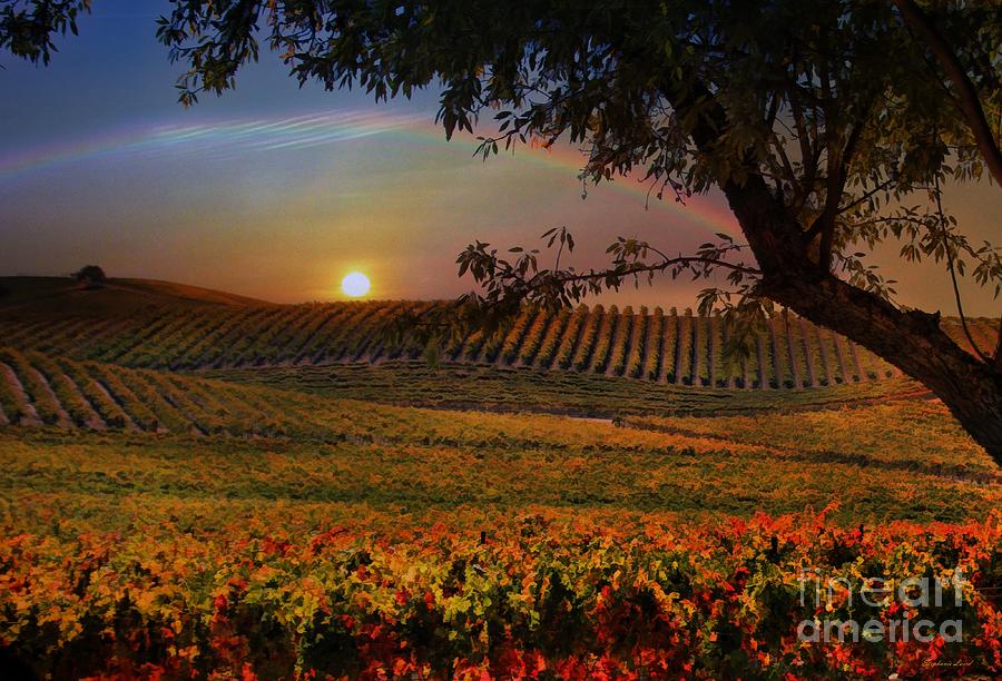 Wine Photograph - Wine Country Paradise by Stephanie Laird