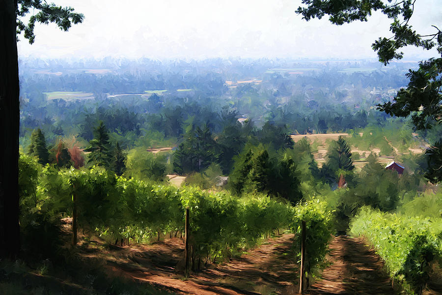 Wine Country Photograph by Sherrie Triest
