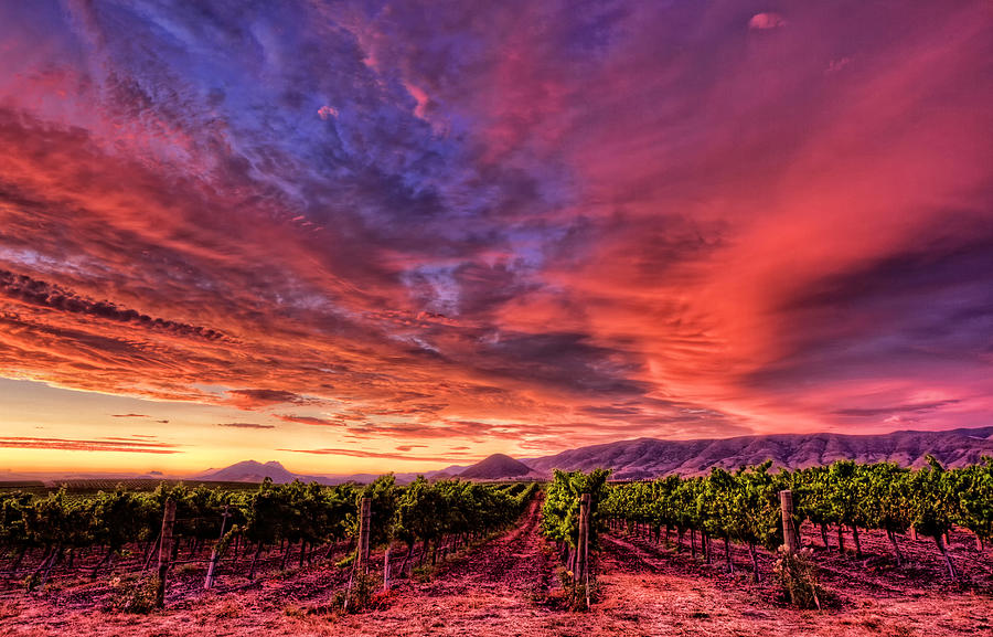 Wine Country Sunset Photograph by Beth Sargent