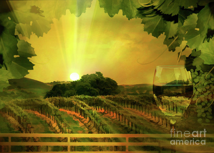 Wine Country White Wine Sunset Photograph by Stephanie Laird