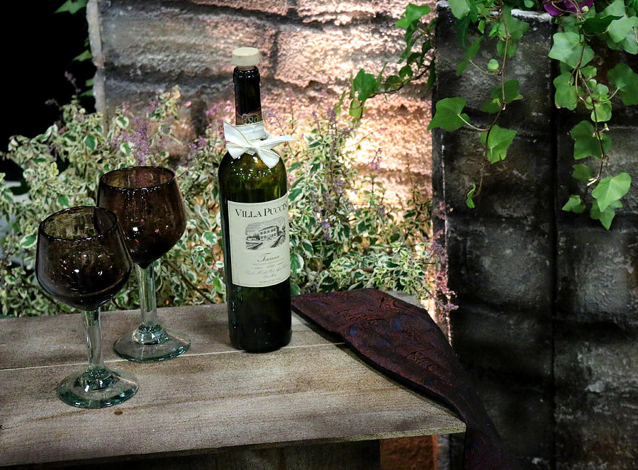 Wine Photograph - Wine For Two by Living Color Photography Lorraine Lynch