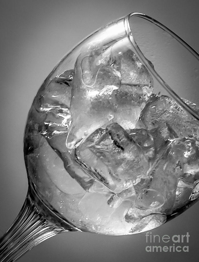 Wine Glass #5 Photograph