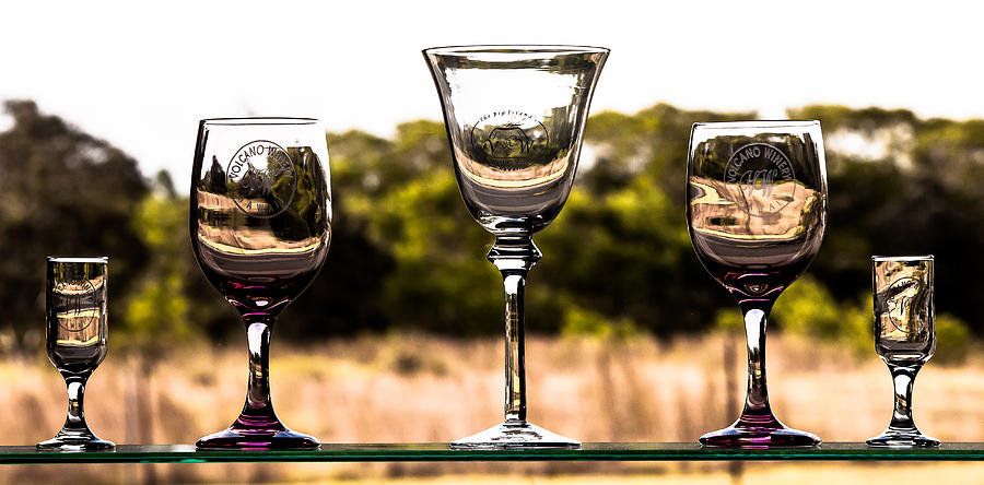 Wine Glass Photograph by Craig Watanabe