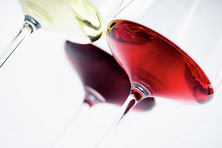 Wine Photograph - Wine glass by Jelena Jovanovic