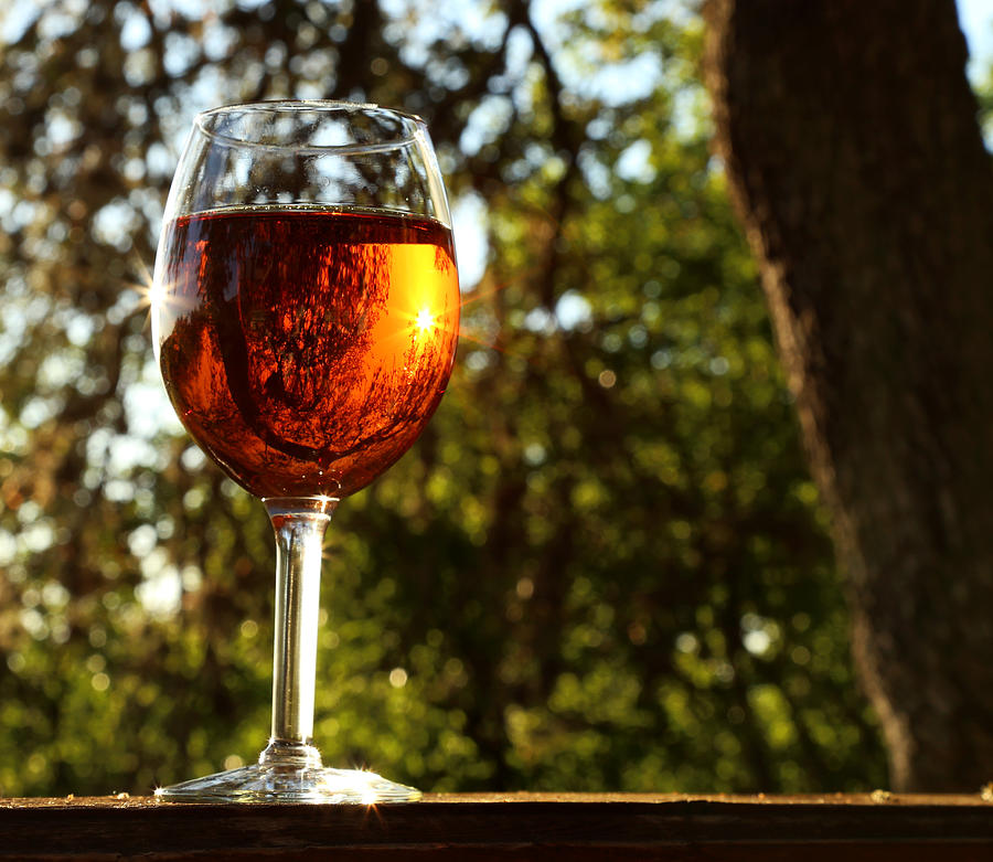 Wine Glass Reflections Photograph by Judy Vincent