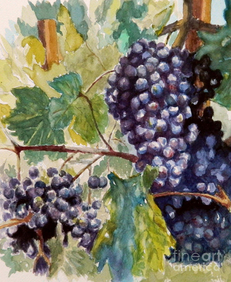 Grape Painting - Wine Grapes by William Reed