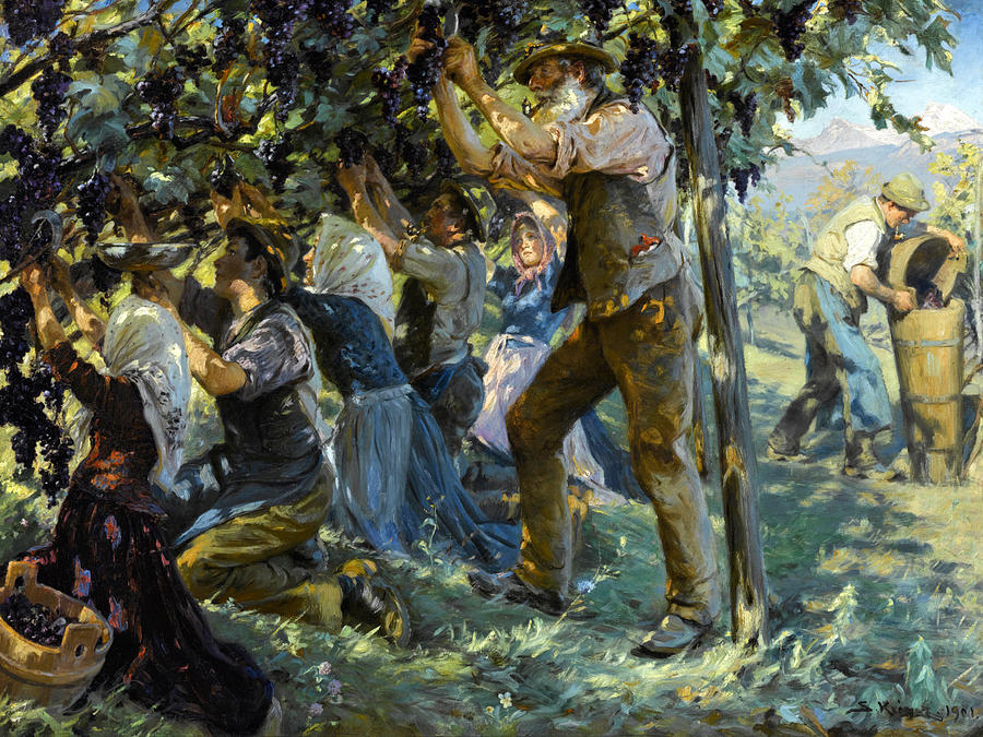 Wine Harvest in the Tyrol Painting by Peder Severin Kroyer