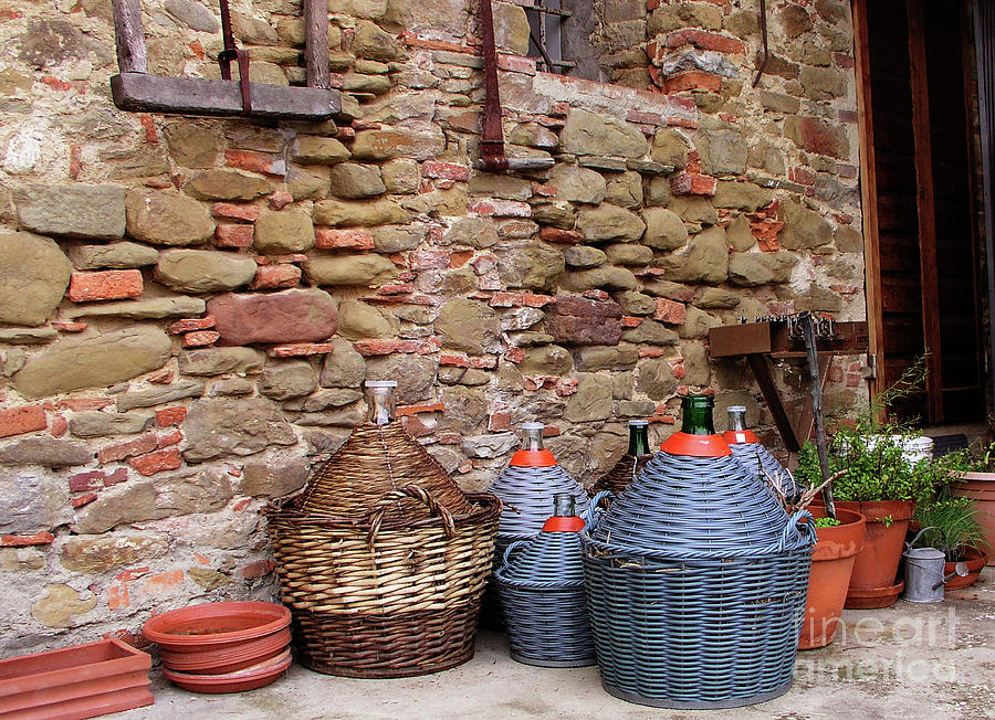Wine Jugs Photograph by Mary Capriole