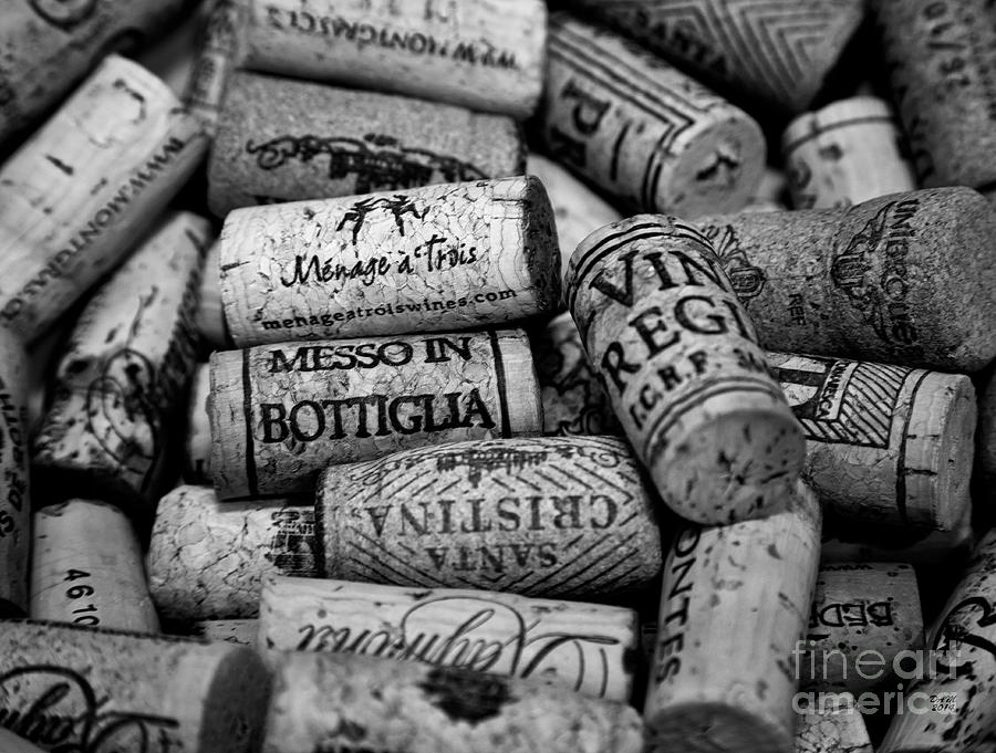 Wine Lovers Black and White Photograph by David Millenheft
