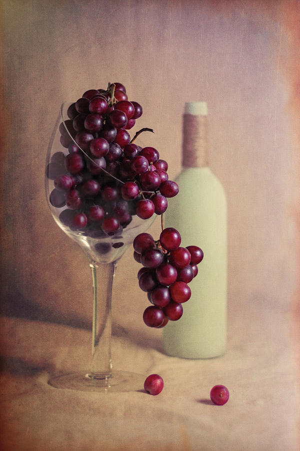 Grape Photograph - Wine on the Vine by Tom Mc Nemar