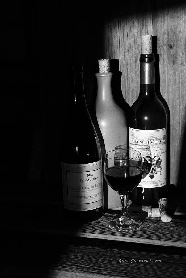 Wine Sampling Photograph by Steven Clipperton