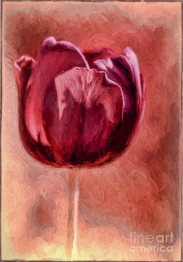 Wine Tulip Digital Art by Jean OKeeffe Macro Abundance Art