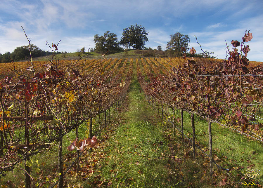 Wineland by Kenneth Hadlock Wineland by Kenneth Hadlock