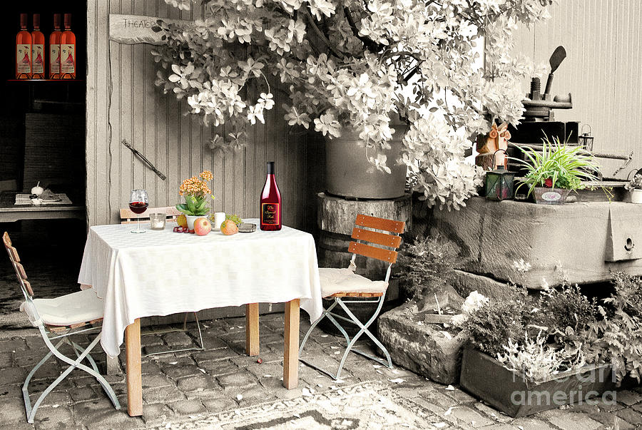 Wine Photograph - Winelovers Place by Gabriele Pomykaj