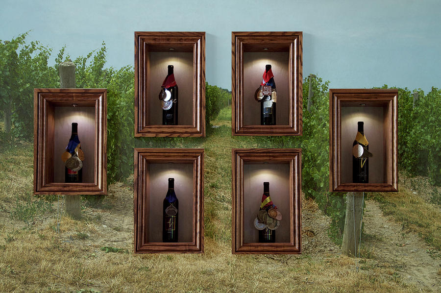 Winery Anyelas Vineyard Skaneateles New York Awards And Vineyard Photograph by Thomas Woolworth