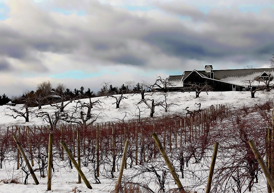 Winery in Winter Photograph by Jeff Heimlich