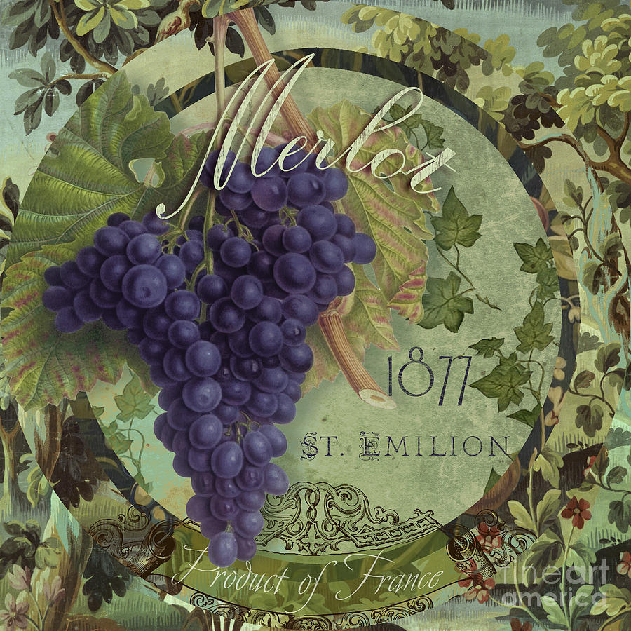 Fruit Painting - Wines of France Merlot by Mindy Sommers