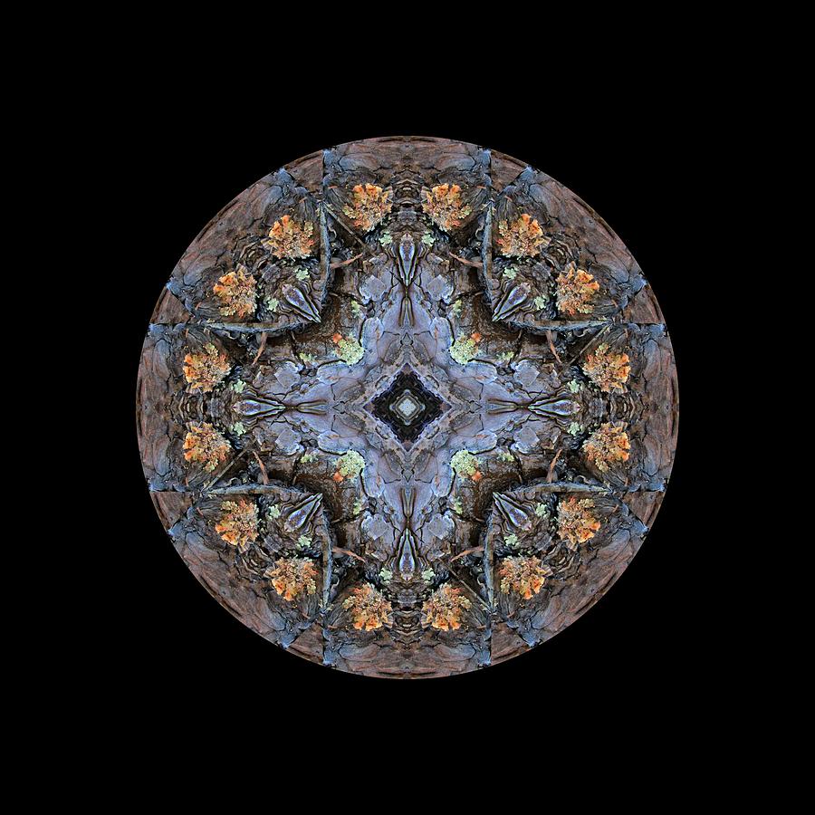 Winged Creatures in a Star Kaleidoscope #1 Digital Art by Julia L Wright