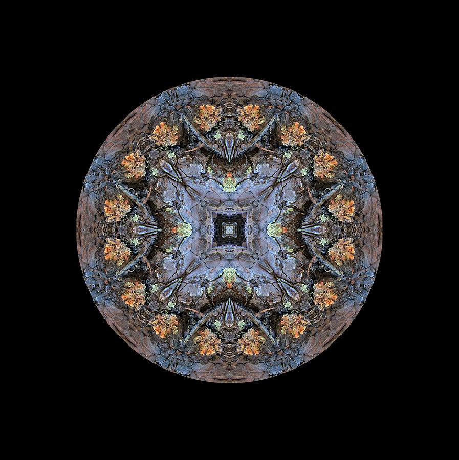 Winged Creatures in a Star Kaleidoscope #2 Digital Art by Julia L Wright
