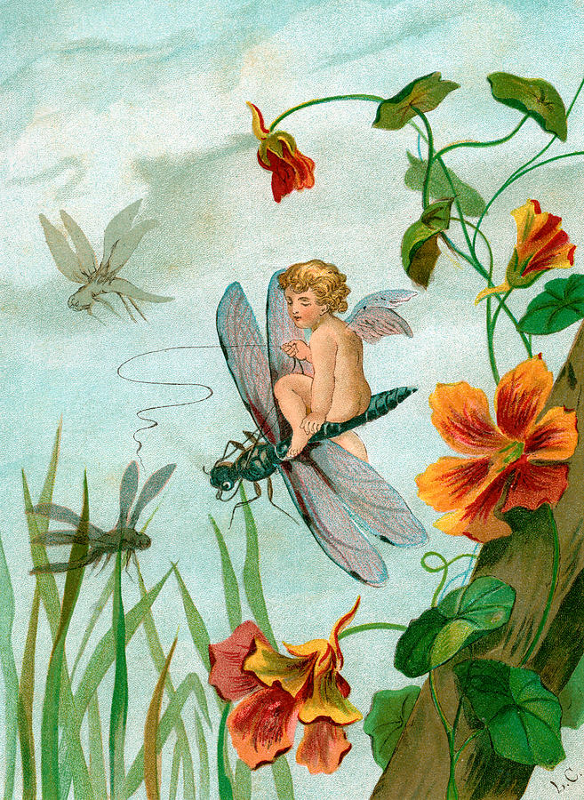 Winged fairy riding a dragonfly near nasturtium flowers Painting by Unknown