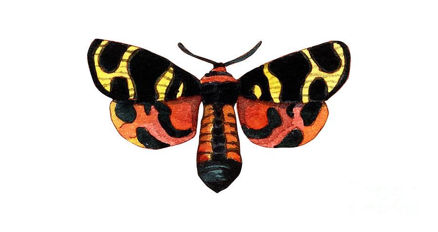 Winged Jewels 5, Watercolor Moth Black Yellow Orange and Red Tropical Painting by Audrey Jeanne Roberts
