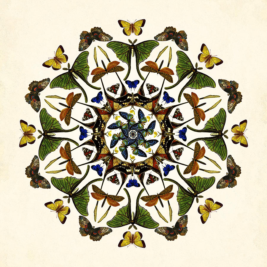 Winged Kaleidoscope Digital Art by Deborah Smith