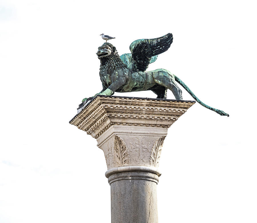 Winged Lion with Seagull Photograph by David Kay