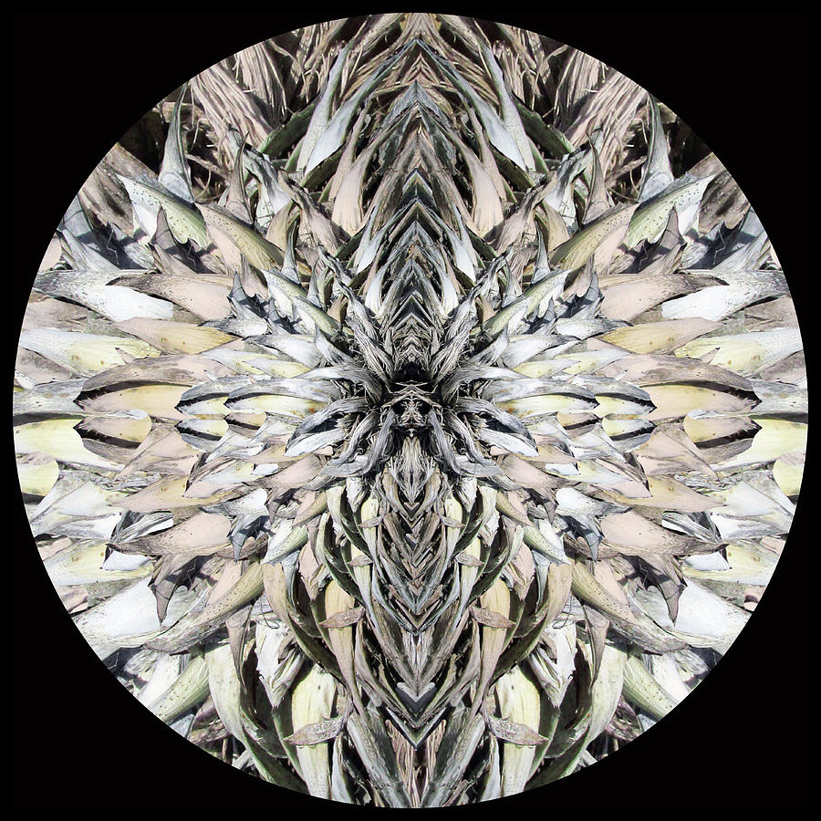 Winged Praying Figure Kaleidoscope Digital Art by Julia L Wright