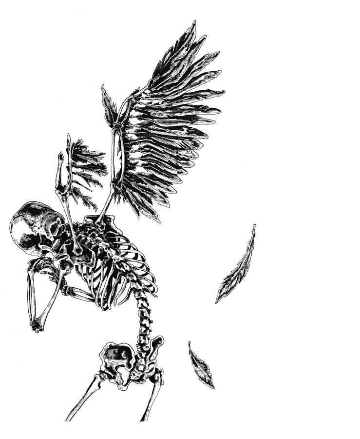 Winged Skeleton 3 Drawing by Brendan Howells