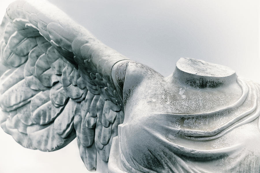 Winged Victory Photograph by Iryna Goodall