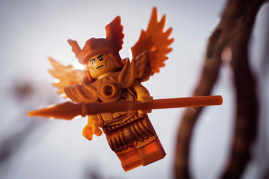 Toy Photograph - Winged Warrior by Ernest M Aquilio