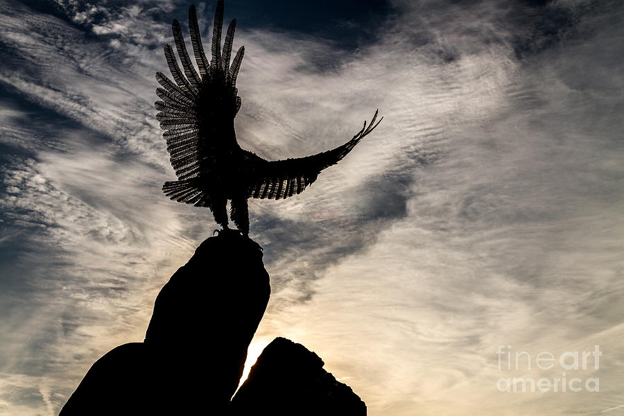 Eagle Photograph - Wings at Dawn by William Norton