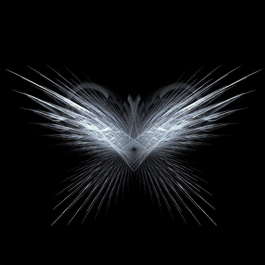 Wings Digital Art by Kim French