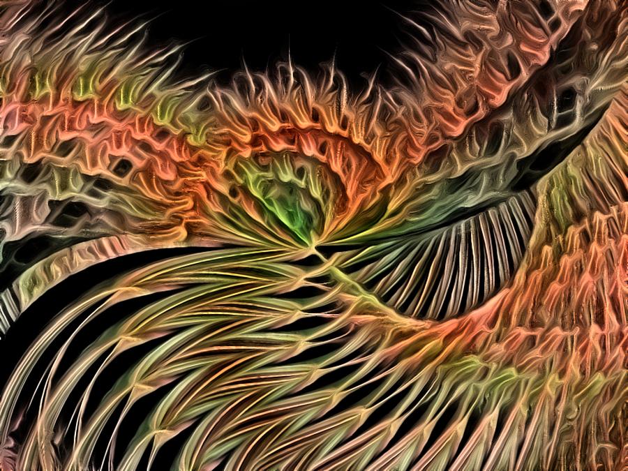 Wings Of A Firebird Digital Art by Rhonda Barrett